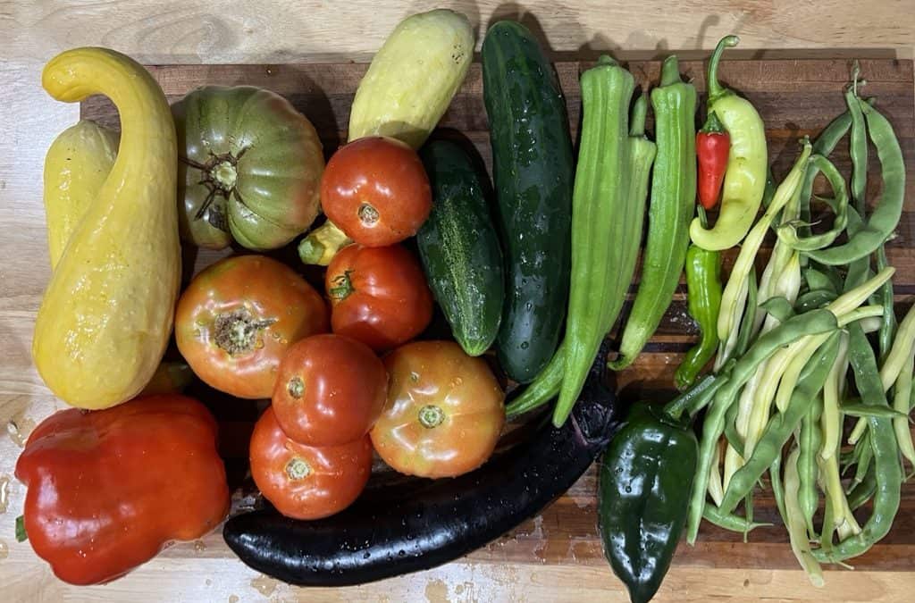 The Garden: Digging into Stories