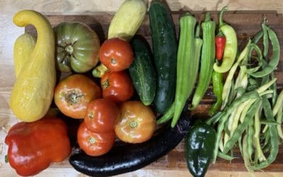 The Garden: Digging into Stories