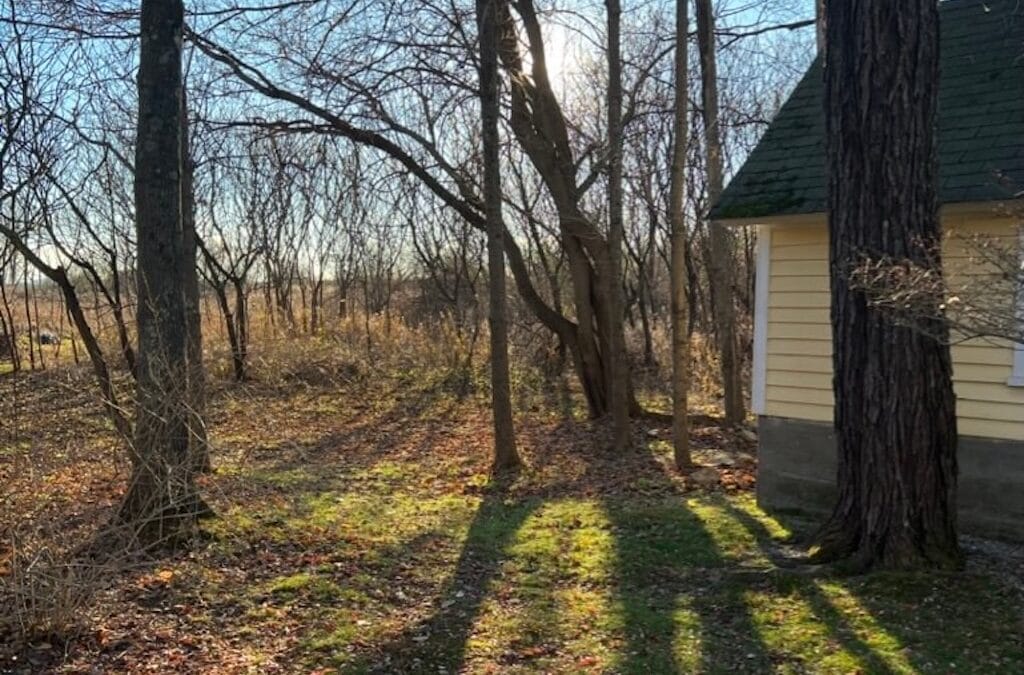 Shadow House, November Light
