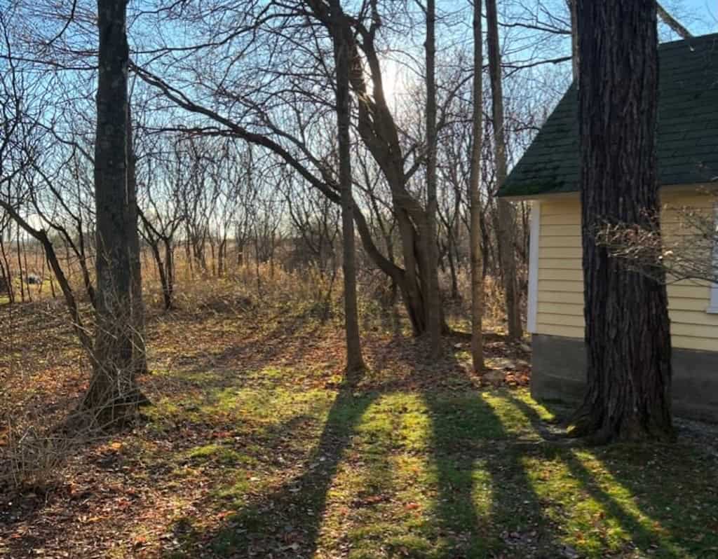 A quiet threshold of late November light.